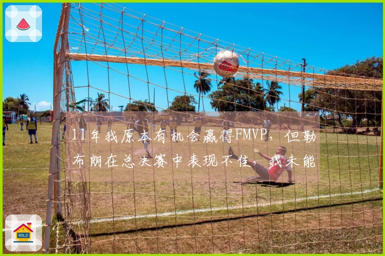 11年我原本有机会赢得FMVP，但勒布朗在总决赛中表现不佳，我未能承担起领袖职责