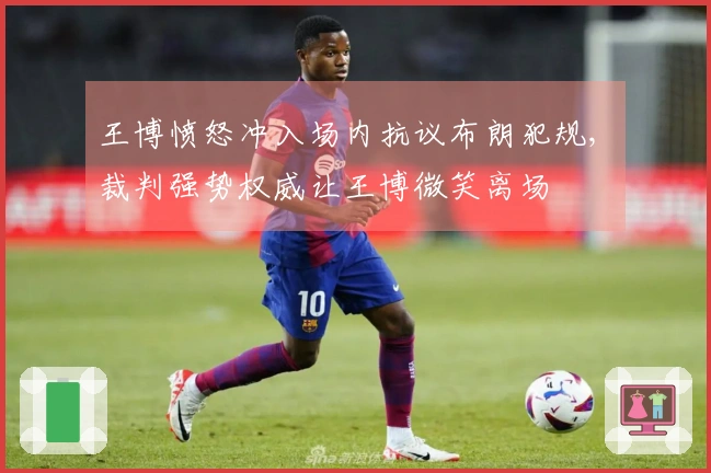 王博愤怒冲入场内抗议布朗犯规, 裁判强势权威让王博微笑离场